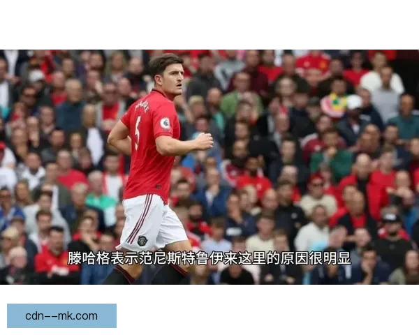 曼联主帅滕哈格离职后范尼临时执教四场不败带队反弹