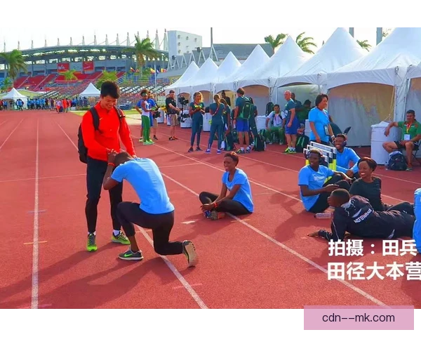 莫法拉赫样本对比方法，为耐力训练研究提供参考